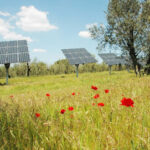 Sunelec Photovoltaic Solutions Incorporated