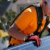 solar installers