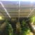 solar installers