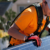 solar installers